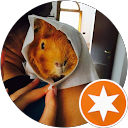 Paolo Gialloreto profile picture